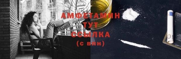 ПСИЛОЦИБИНОВЫЕ ГРИБЫ Гусь-Хрустальный