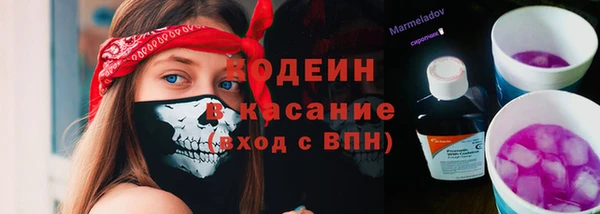 ПСИЛОЦИБИНОВЫЕ ГРИБЫ Гусь-Хрустальный