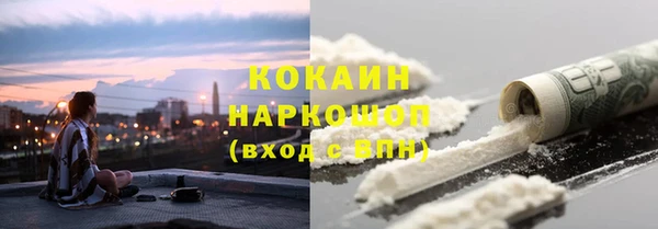 ПСИЛОЦИБИНОВЫЕ ГРИБЫ Гусь-Хрустальный