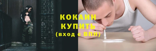 таблы Гусев