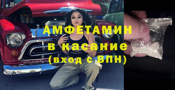 ПСИЛОЦИБИНОВЫЕ ГРИБЫ Гусь-Хрустальный