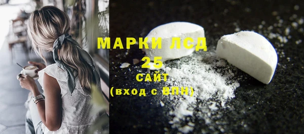 таблы Гусев