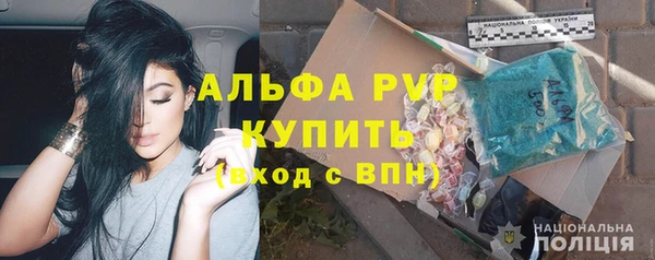ПСИЛОЦИБИНОВЫЕ ГРИБЫ Гусь-Хрустальный