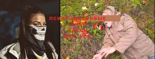 таблы Гусев