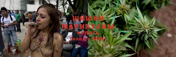 таблы Гусев