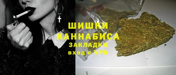 таблы Гусев
