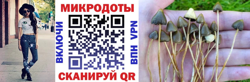 Купить  Кирово-Чепецк  Псилоцибиновые грибы GOLDEN TEACHER 